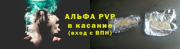 шишки Беломорск