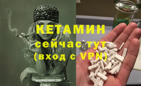шишки Беломорск