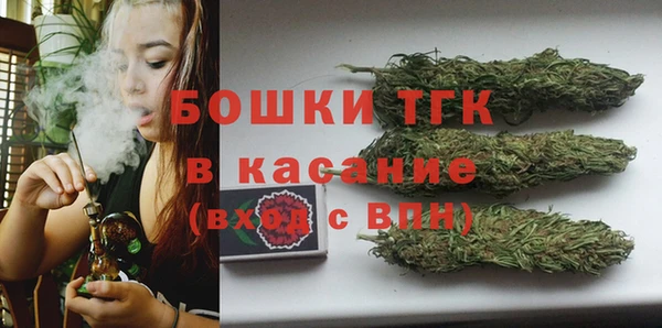 шишки Баксан