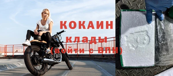 шишки Беломорск