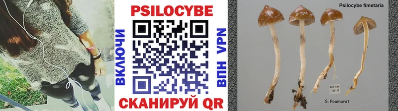 Галлюциногенные грибы прущие грибы Купить закладки Благодарный